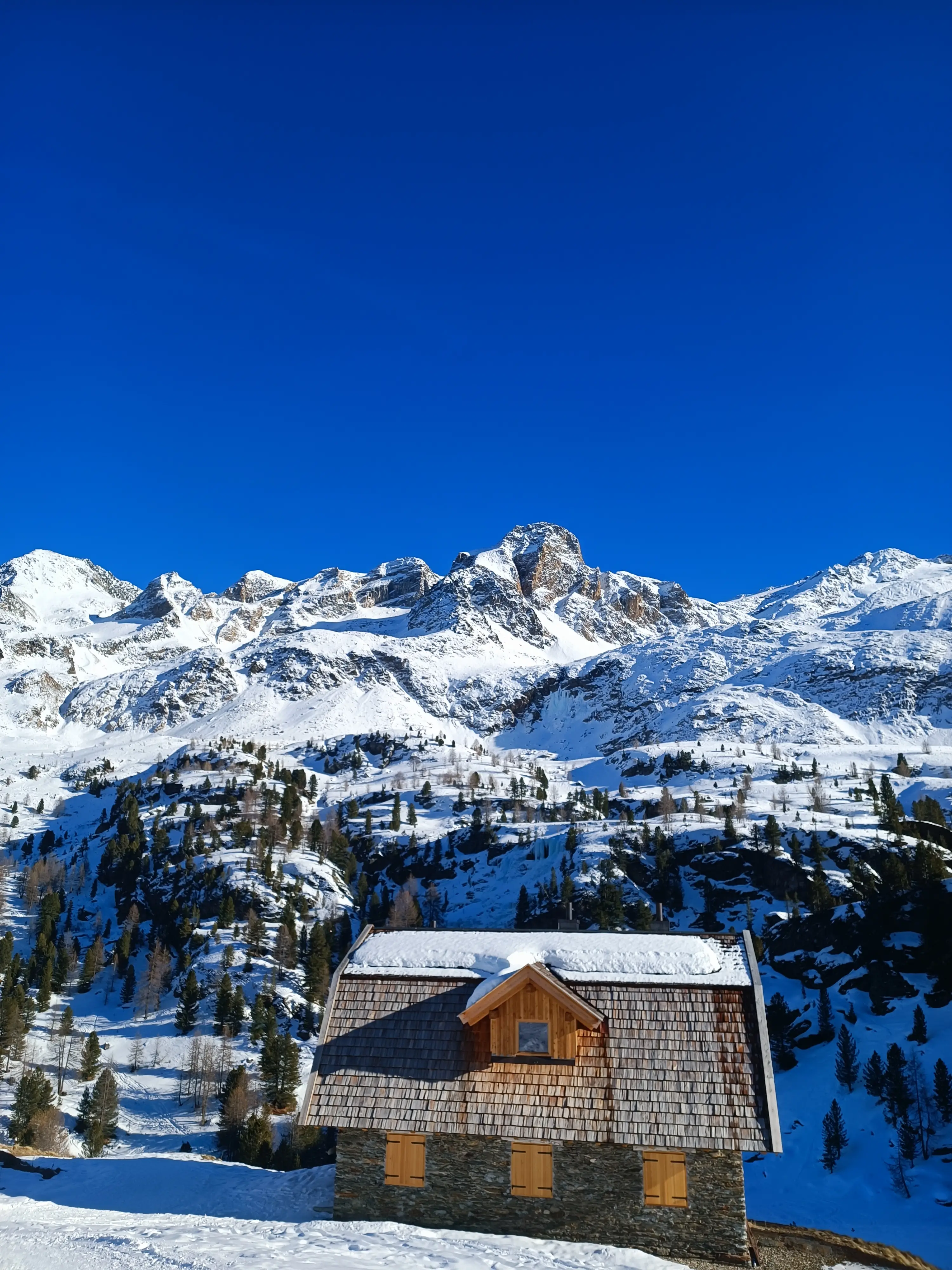 winter image